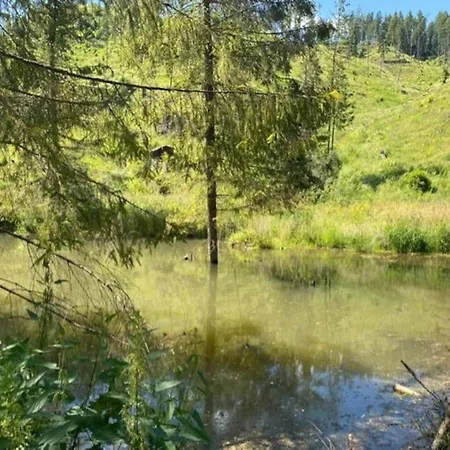 Old Fashioned In Lopusna Dolina Near High Tatras Chalet